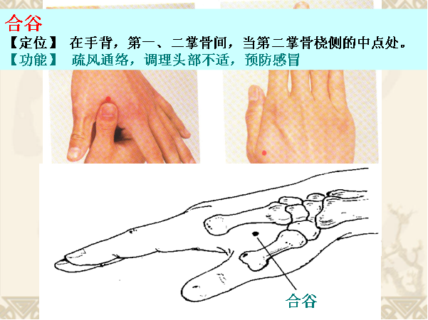 合谷.png